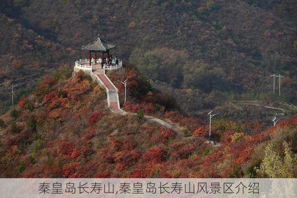 秦皇岛长寿山,秦皇岛长寿山风景区介绍-第3张图片-豌豆旅游网