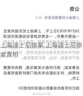 上海迪士尼惨案,上海迪士尼惨案真相-第1张图片-豌豆旅游网