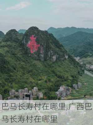 巴马长寿村在哪里,广西巴马长寿村在哪里-第2张图片-豌豆旅游网