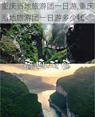 重庆当地旅游团一日游,重庆当地旅游团一日游多少钱-第1张图片-豌豆旅游网