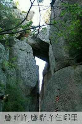 鹰嘴峰,鹰嘴峰在哪里