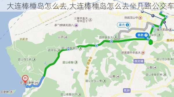 大连棒棰岛怎么去,大连棒棰岛怎么去坐几路公交车-第1张图片-豌豆旅游网