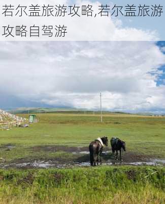 若尔盖旅游攻略,若尔盖旅游攻略自驾游-第2张图片-豌豆旅游网