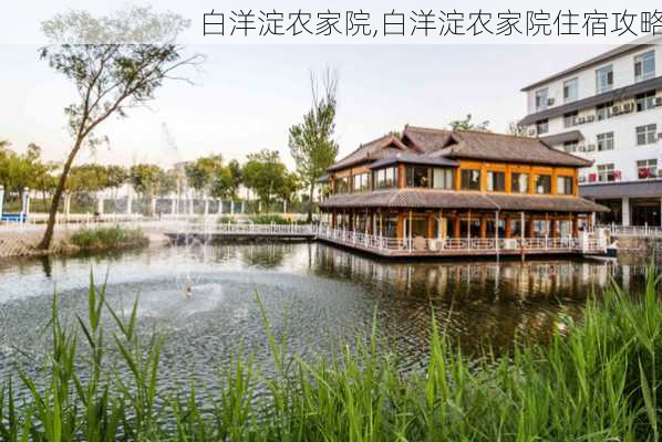 白洋淀农家院,白洋淀农家院住宿攻略-第1张图片-豌豆旅游网