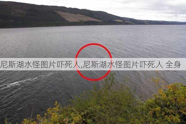 尼斯湖水怪图片吓死人,尼斯湖水怪图片吓死人 全身-第2张图片-豌豆旅游网