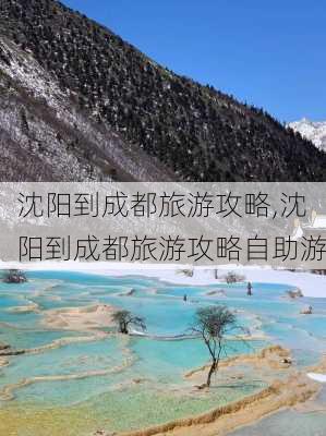 沈阳到成都旅游攻略,沈阳到成都旅游攻略自助游-第3张图片-豌豆旅游网