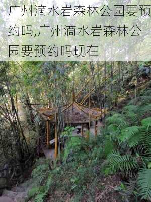 广州滴水岩森林公园要预约吗,广州滴水岩森林公园要预约吗现在-第3张图片-豌豆旅游网