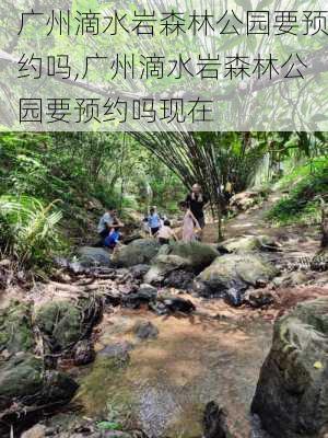 广州滴水岩森林公园要预约吗,广州滴水岩森林公园要预约吗现在-第2张图片-豌豆旅游网