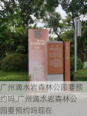 广州滴水岩森林公园要预约吗,广州滴水岩森林公园要预约吗现在-第1张图片-豌豆旅游网