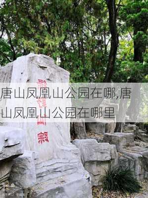 唐山凤凰山公园在哪,唐山凤凰山公园在哪里-第3张图片-豌豆旅游网