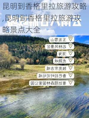 昆明到香格里拉旅游攻略,昆明到香格里拉旅游攻略景点大全-第1张图片-豌豆旅游网