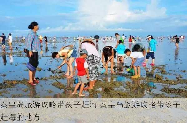 秦皇岛旅游攻略带孩子赶海,秦皇岛旅游攻略带孩子赶海的地方-第2张图片-豌豆旅游网