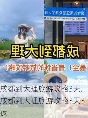 成都到大理旅游攻略3天,成都到大理旅游攻略3天3夜-第1张图片-豌豆旅游网