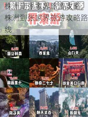 株洲到张家界旅游攻略,株洲到张家界旅游攻略路线