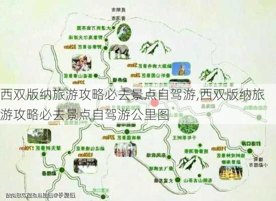 西双版纳旅游攻略必去景点自驾游,西双版纳旅游攻略必去景点自驾游公里图-第3张图片-豌豆旅游网