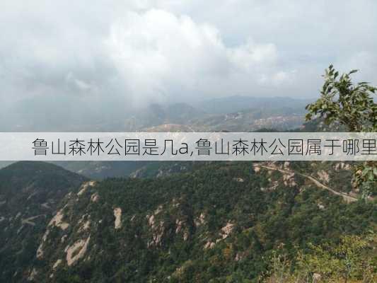 鲁山森林公园是几a,鲁山森林公园属于哪里-第3张图片-豌豆旅游网