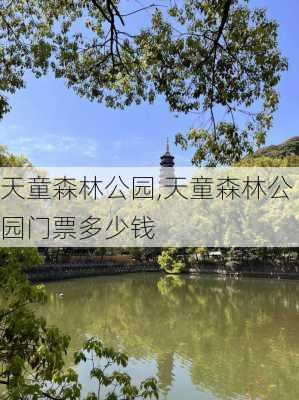 天童森林公园,天童森林公园门票多少钱-第3张图片-豌豆旅游网