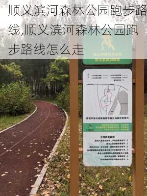 顺义滨河森林公园跑步路线,顺义滨河森林公园跑步路线怎么走-第1张图片-豌豆旅游网