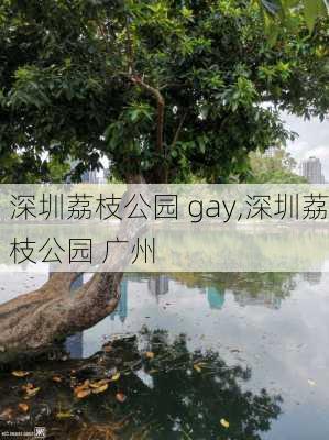 深圳荔枝公园 gay,深圳荔枝公园 广州-第1张图片-豌豆旅游网