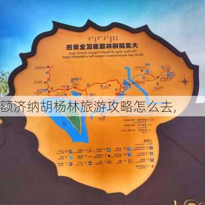 额济纳胡杨林旅游攻略怎么去,-第1张图片-豌豆旅游网