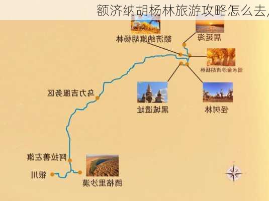 额济纳胡杨林旅游攻略怎么去,-第2张图片-豌豆旅游网