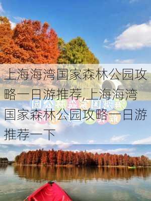 上海海湾国家森林公园攻略一日游推荐,上海海湾国家森林公园攻略一日游推荐一下