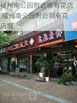 福州南公园附近哪有花店,福州南公园附近哪有花店啊