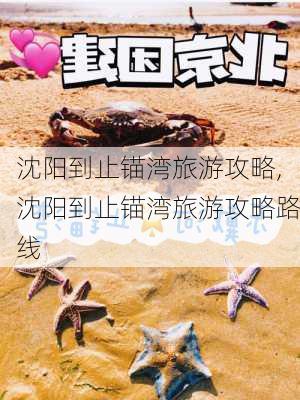 沈阳到止锚湾旅游攻略,沈阳到止锚湾旅游攻略路线