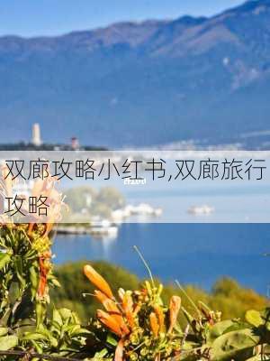 双廊攻略小红书,双廊旅行攻略-第3张图片-豌豆旅游网