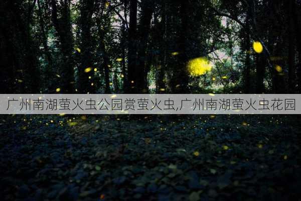 广州南湖萤火虫公园赏萤火虫,广州南湖萤火虫花园-第3张图片-豌豆旅游网