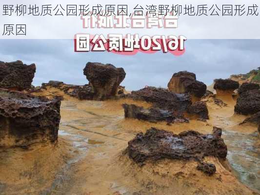 野柳地质公园形成原因,台湾野柳地质公园形成原因