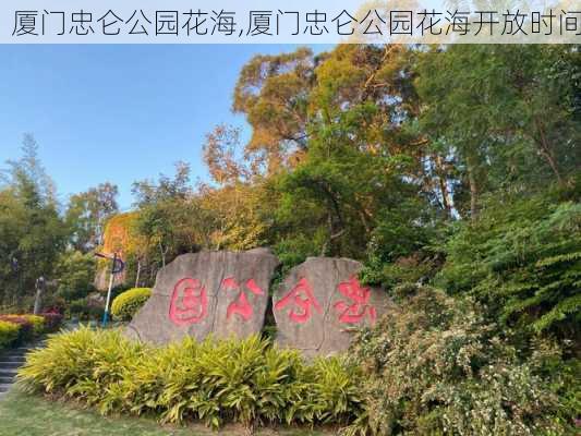 厦门忠仑公园花海,厦门忠仑公园花海开放时间