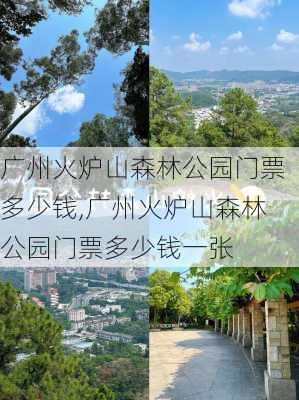 广州火炉山森林公园门票多少钱,广州火炉山森林公园门票多少钱一张-第3张图片-豌豆旅游网