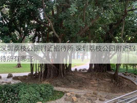 深圳荔枝公园附近招待所,深圳荔枝公园附近招待所有哪些-第3张图片-豌豆旅游网