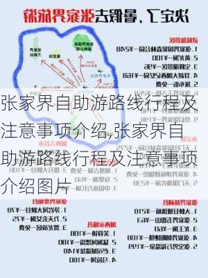 张家界自助游路线行程及注意事项介绍,张家界自助游路线行程及注意事项介绍图片-第2张图片-豌豆旅游网