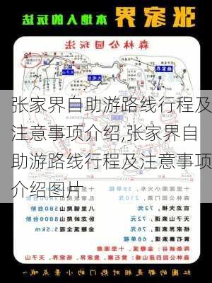 张家界自助游路线行程及注意事项介绍,张家界自助游路线行程及注意事项介绍图片-第3张图片-豌豆旅游网