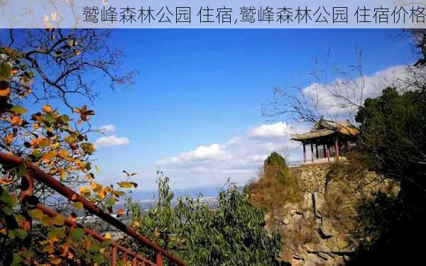 鹫峰森林公园 住宿,鹫峰森林公园 住宿价格