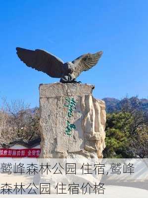 鹫峰森林公园 住宿,鹫峰森林公园 住宿价格-第2张图片-豌豆旅游网