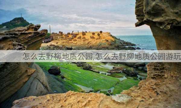 怎么去野柳地质公园,怎么去野柳地质公园游玩-第3张图片-豌豆旅游网