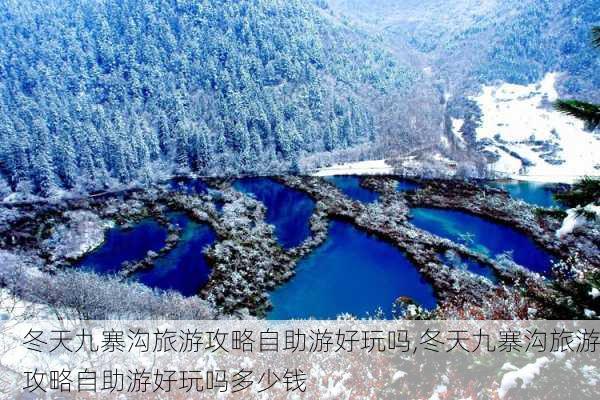 冬天九寨沟旅游攻略自助游好玩吗,冬天九寨沟旅游攻略自助游好玩吗多少钱