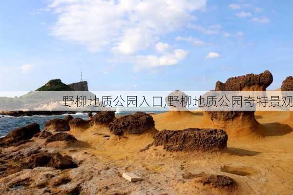 野柳地质公园入口,野柳地质公园奇特景观-第2张图片-豌豆旅游网