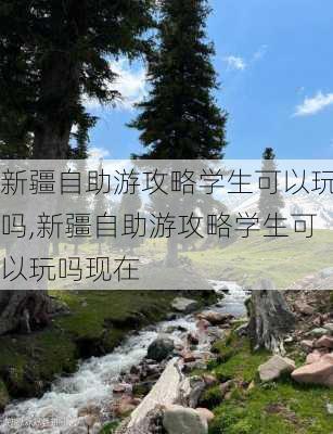 新疆自助游攻略学生可以玩吗,新疆自助游攻略学生可以玩吗现在-第3张图片-豌豆旅游网