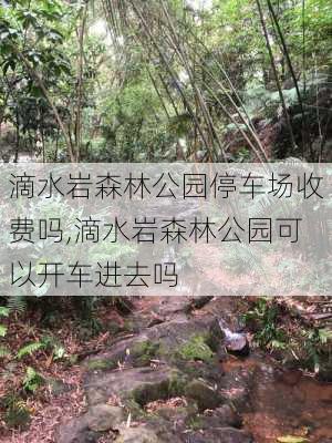 滴水岩森林公园停车场收费吗,滴水岩森林公园可以开车进去吗-第2张图片-豌豆旅游网