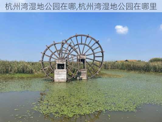 杭州湾湿地公园在哪,杭州湾湿地公园在哪里-第3张图片-豌豆旅游网