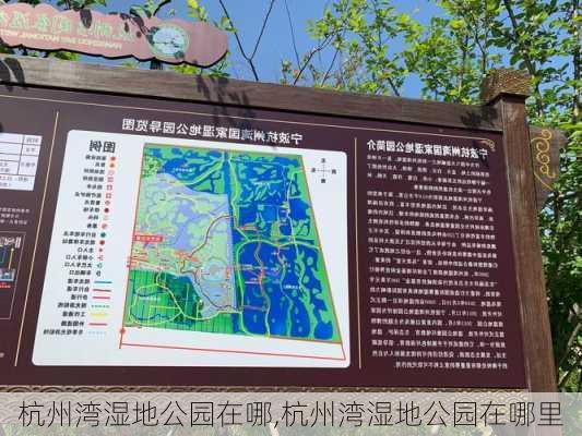 杭州湾湿地公园在哪,杭州湾湿地公园在哪里-第2张图片-豌豆旅游网