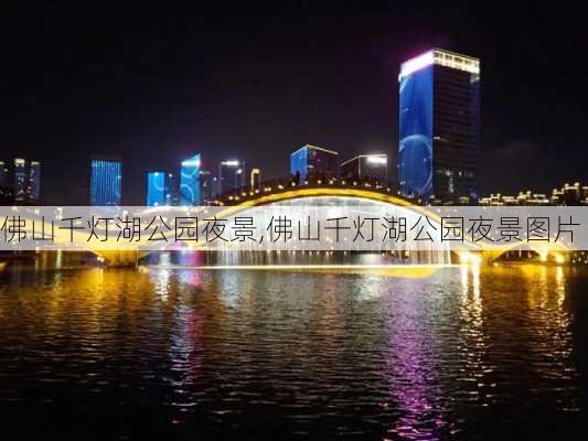 佛山千灯湖公园夜景,佛山千灯湖公园夜景图片-第2张图片-豌豆旅游网