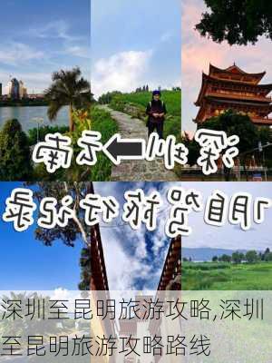 深圳至昆明旅游攻略,深圳至昆明旅游攻略路线-第2张图片-豌豆旅游网