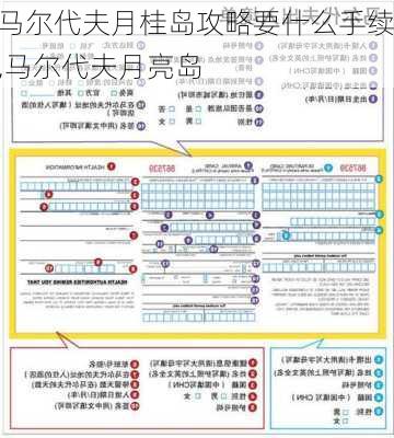 马尔代夫月桂岛攻略要什么手续,马尔代夫月亮岛