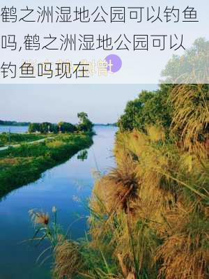 鹤之洲湿地公园可以钓鱼吗,鹤之洲湿地公园可以钓鱼吗现在-第1张图片-豌豆旅游网