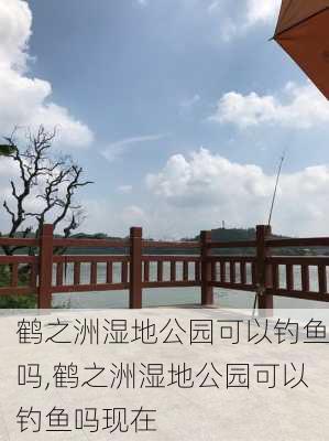 鹤之洲湿地公园可以钓鱼吗,鹤之洲湿地公园可以钓鱼吗现在-第3张图片-豌豆旅游网